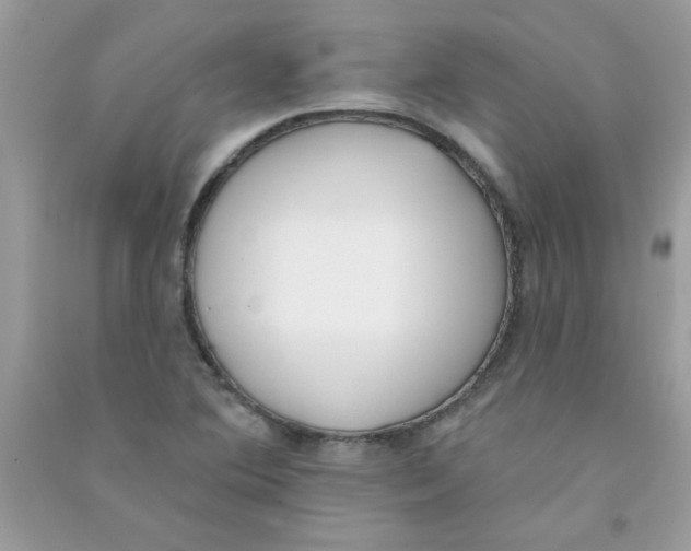 X0000090751364200708172019