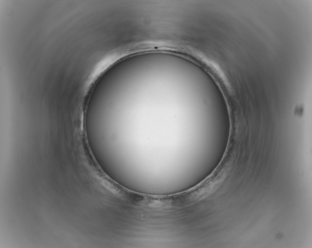 X0000090751365200708172019