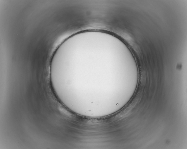 X0000090751366200708172019