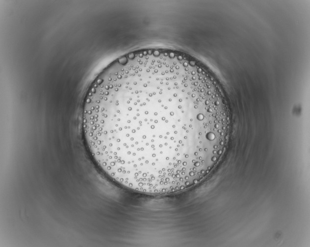 X0000090751367200708172019