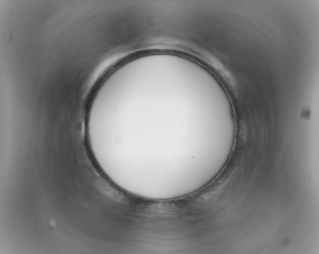 X0000090751368200708172019