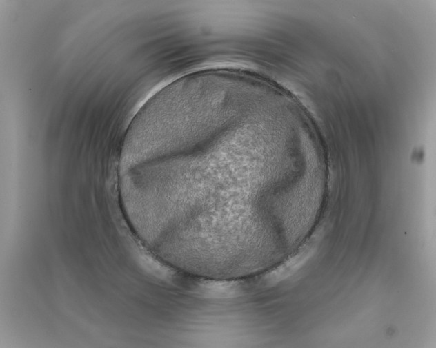X0000090751369200708172019
