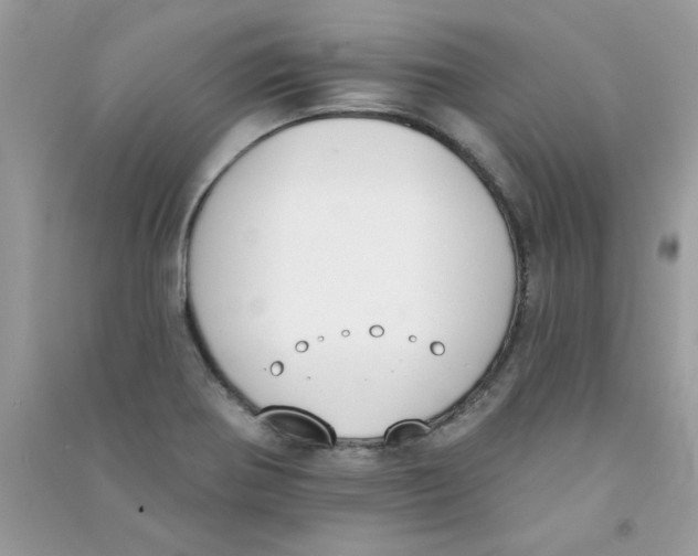 X0000090751370200708172019