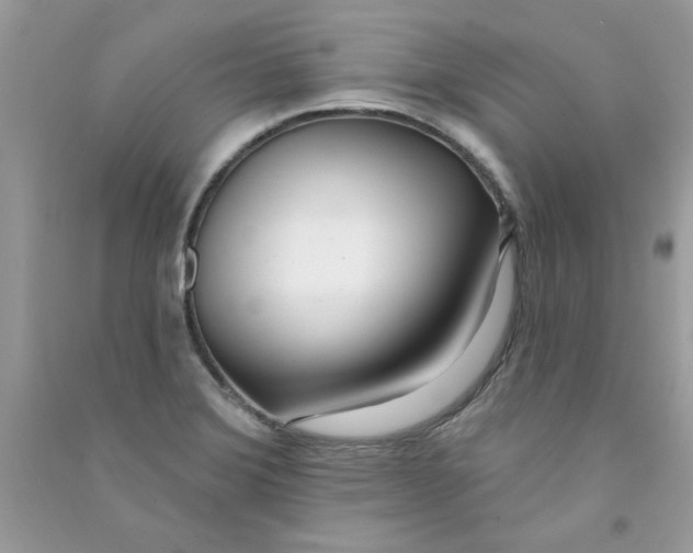 X0000090751372200708172019