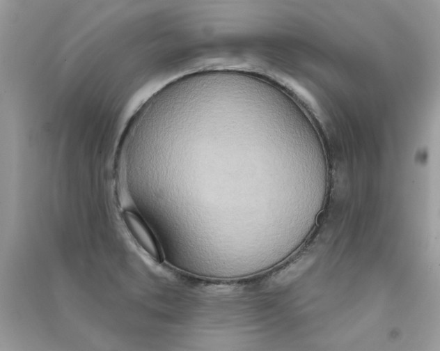 X0000090751373200708172019