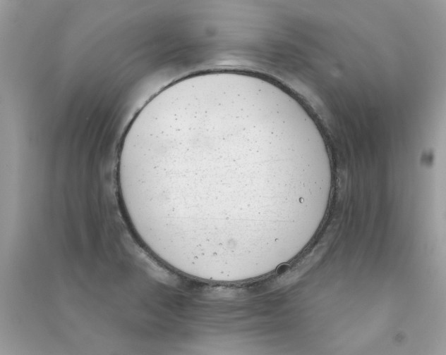X0000090751374200708172019