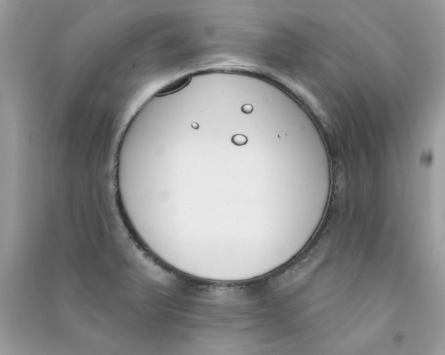 X0000090751375200708172019