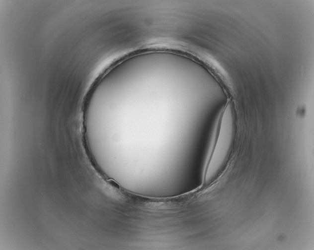 X0000090751376200708172019