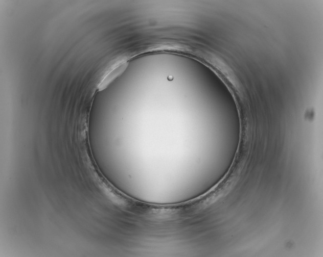 X0000090751377200708172019