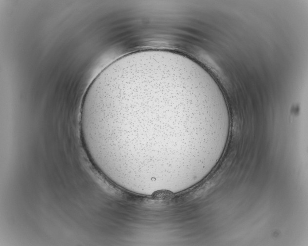 X0000090751378200708172019