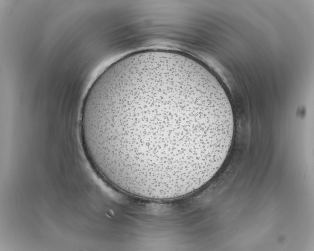 X0000090751379200708172019
