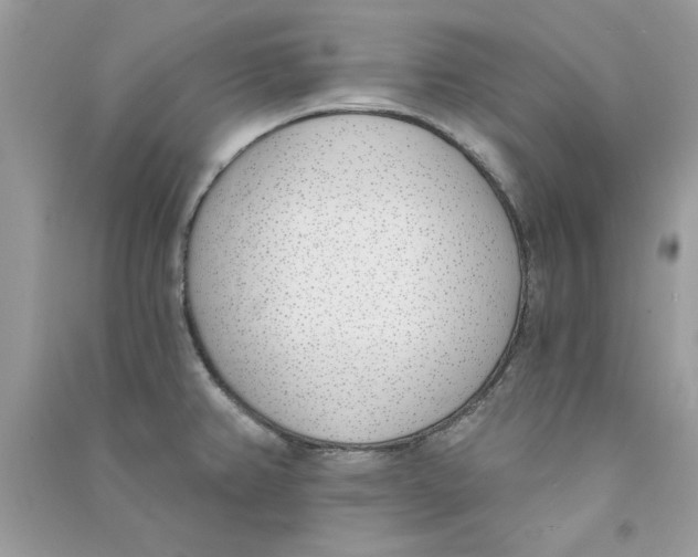 X0000090751382200708172019