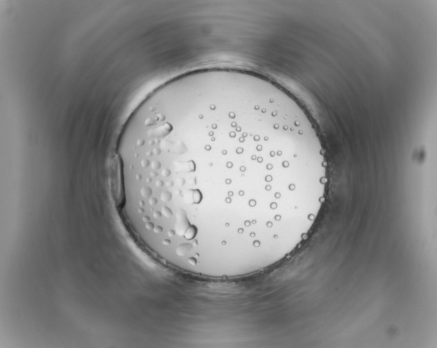 X0000090751383200708172019