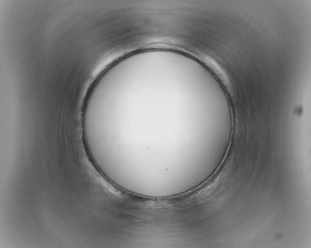 X0000090751384200708172019
