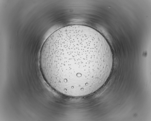 X0000090751386200708172019