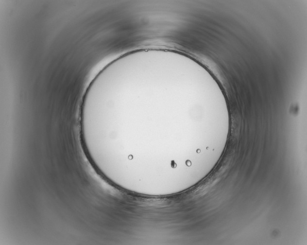 X0000090751387200708172019