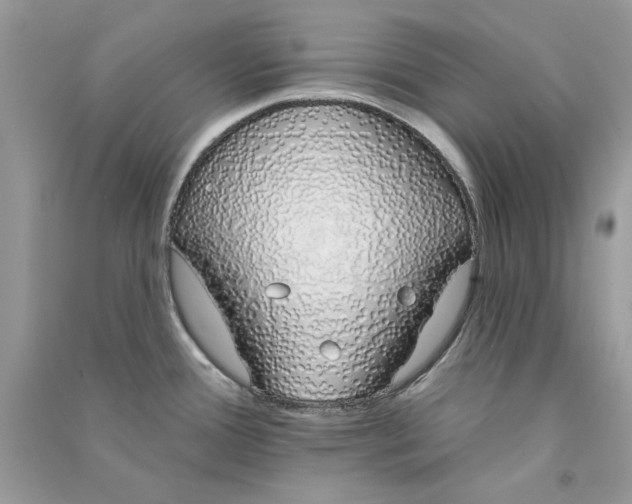 X0000090751388200708172019