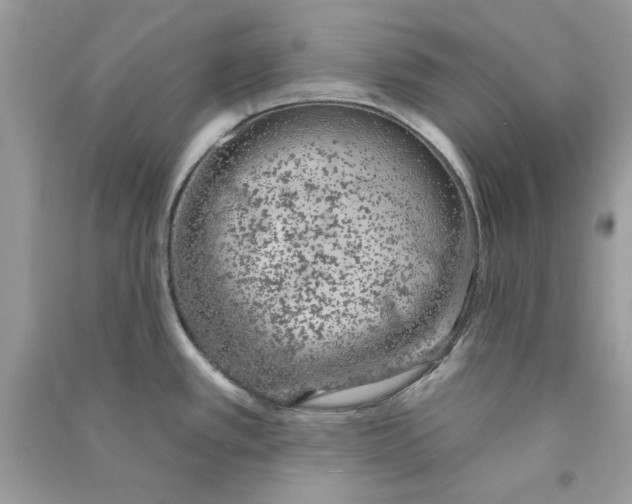 X0000090751389200708172019