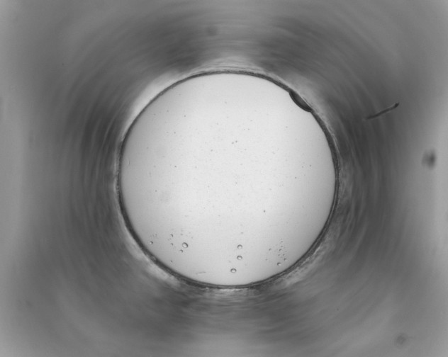 X0000090751390200708172019