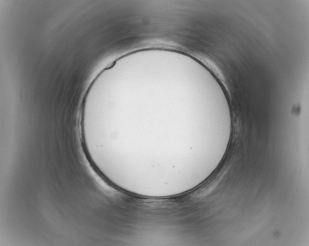 X0000090751391200708172019