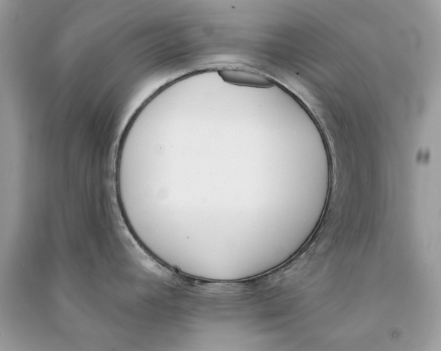 X0000090751392200708172019