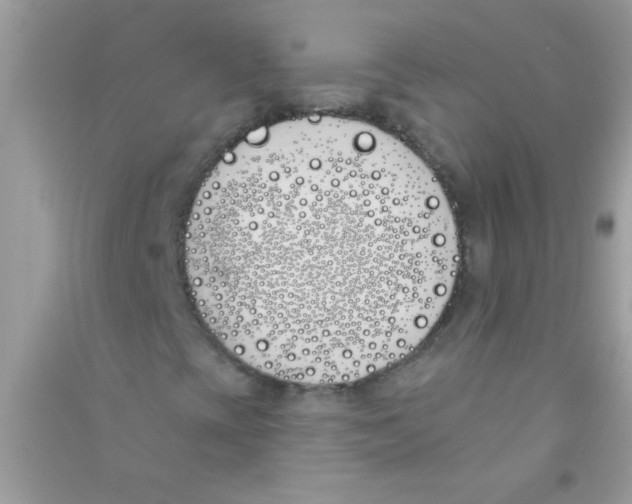 X0000090751393200708172018