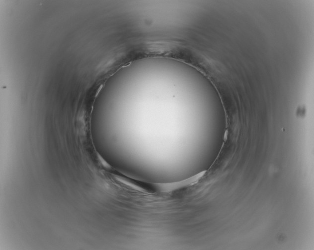 X0000090751394200708172018