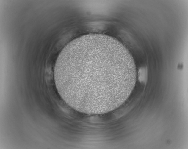 X0000090751395200708172018