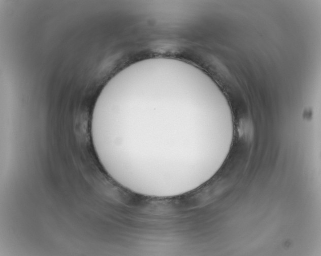 X0000090751396200708172018