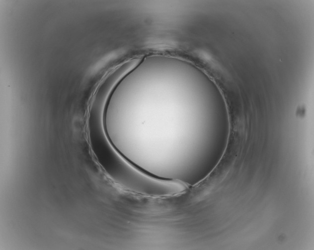 X0000090751398200708172018