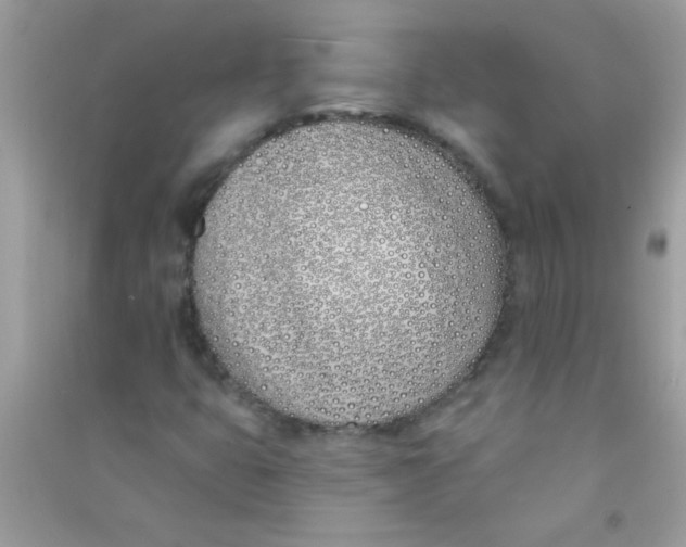 X0000090751399200708172018