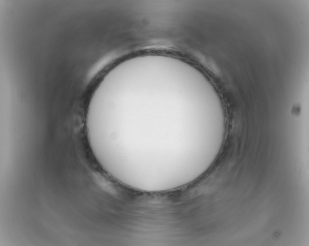 X0000090751400200708172018