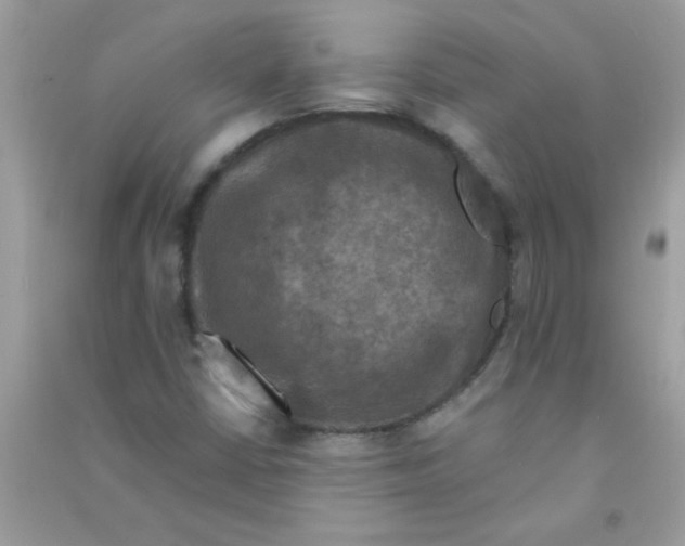 X0000090751402200708172018