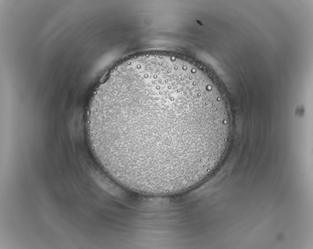 X0000090751403200708172018