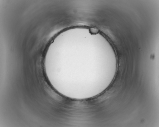 X0000090751404200708172018