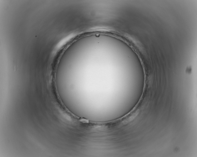 X0000090751406200708172018