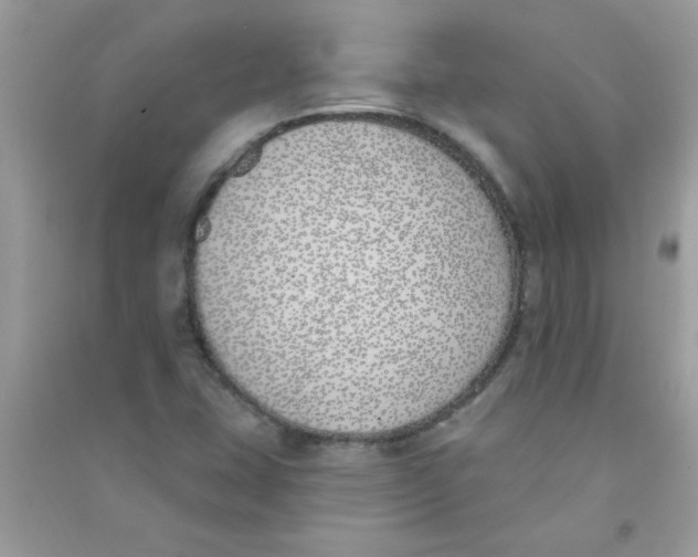 X0000090751407200708172018