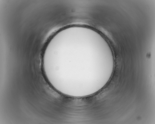 X0000090751408200708172018