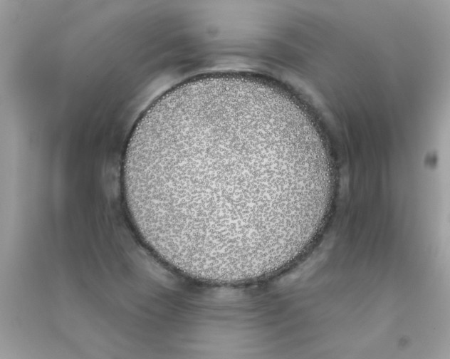 X0000090751409200708172018