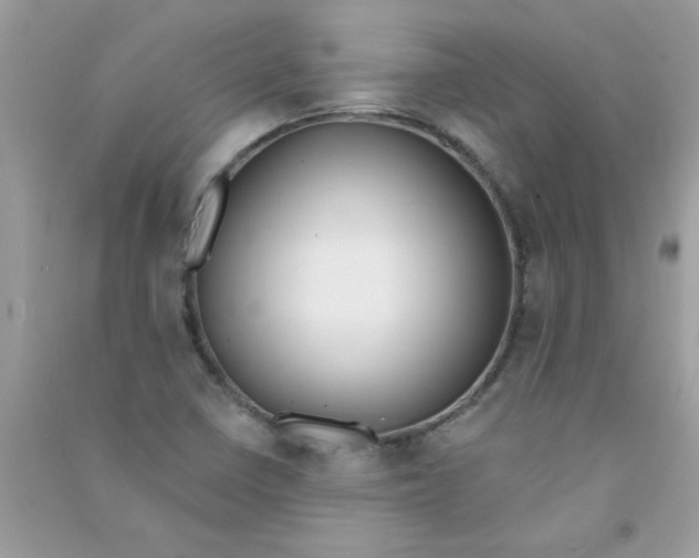 X0000090751410200708172018