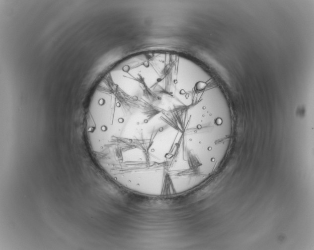 X0000090751411200708172018
