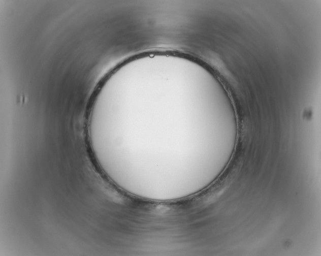 X0000090751412200708172018