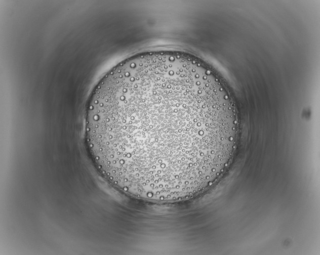 X0000090751413200708172018