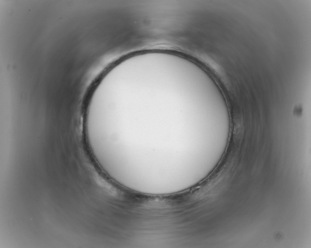 X0000090751414200708172018