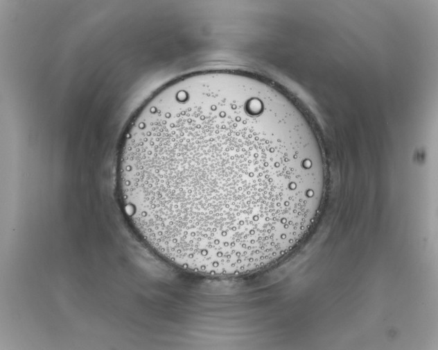X0000090751415200708172018