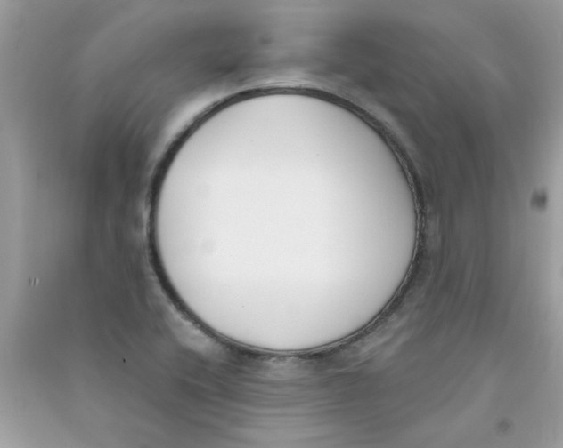 X0000090751416200708172018