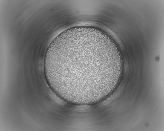 X0000090751417200708172018