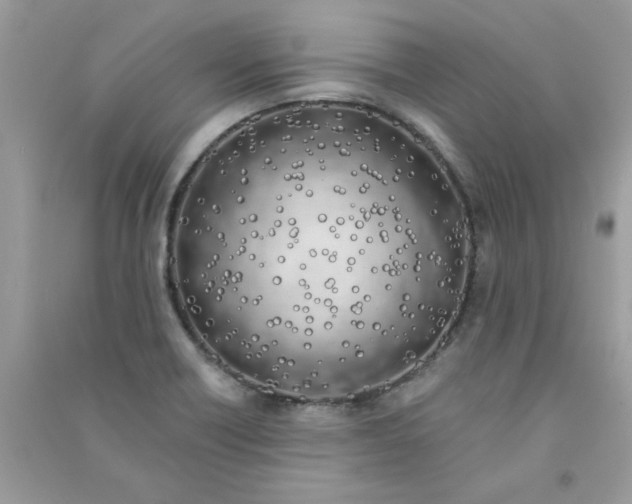 X0000090751418200708172018