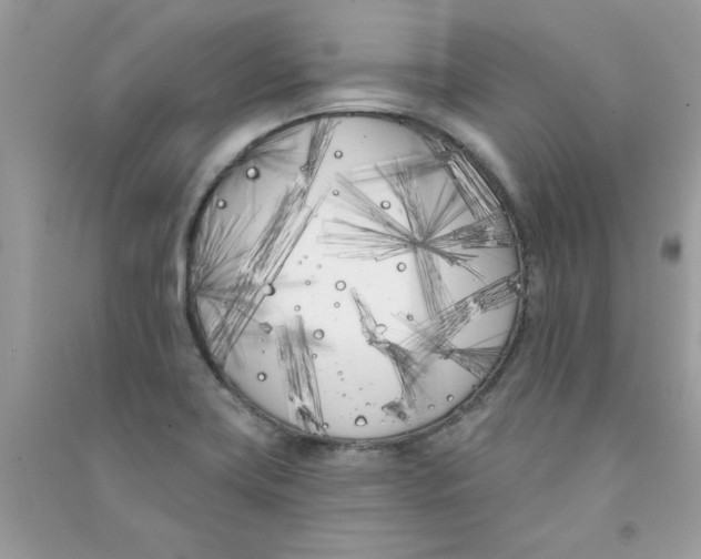 X0000090751419200708172018
