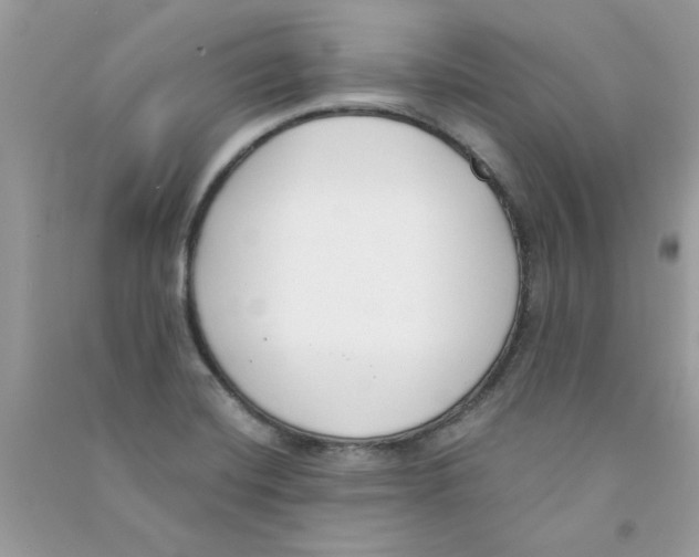 X0000090751420200708172018